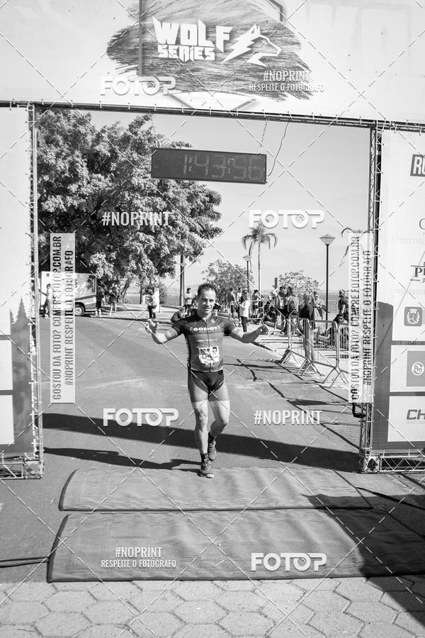 Buy your photos of the eventWolf Series - Botucatu on Fotop