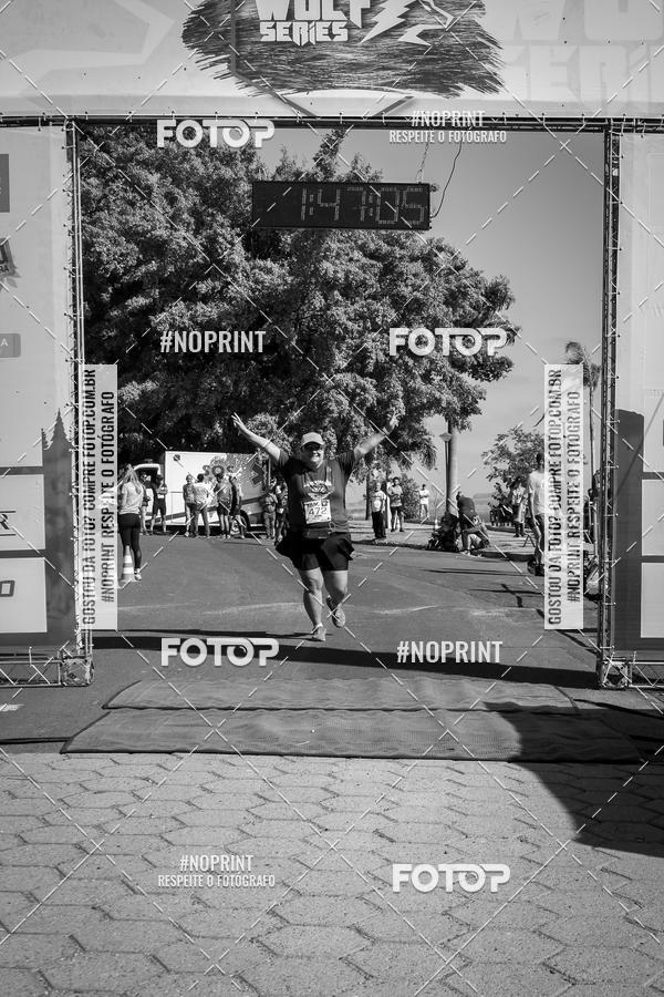 Buy your photos of the eventWolf Series - Botucatu on Fotop