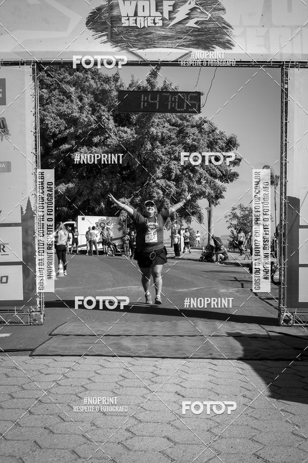 Buy your photos of the eventWolf Series - Botucatu on Fotop