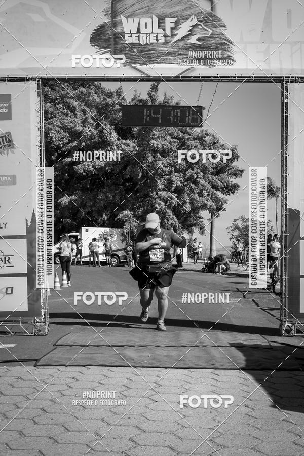 Buy your photos of the eventWolf Series - Botucatu on Fotop