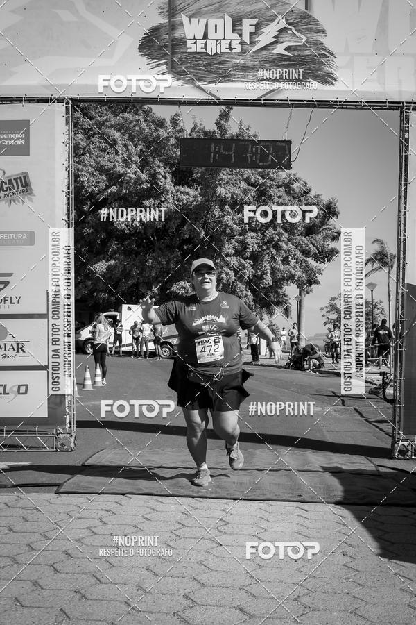 Buy your photos of the eventWolf Series - Botucatu on Fotop