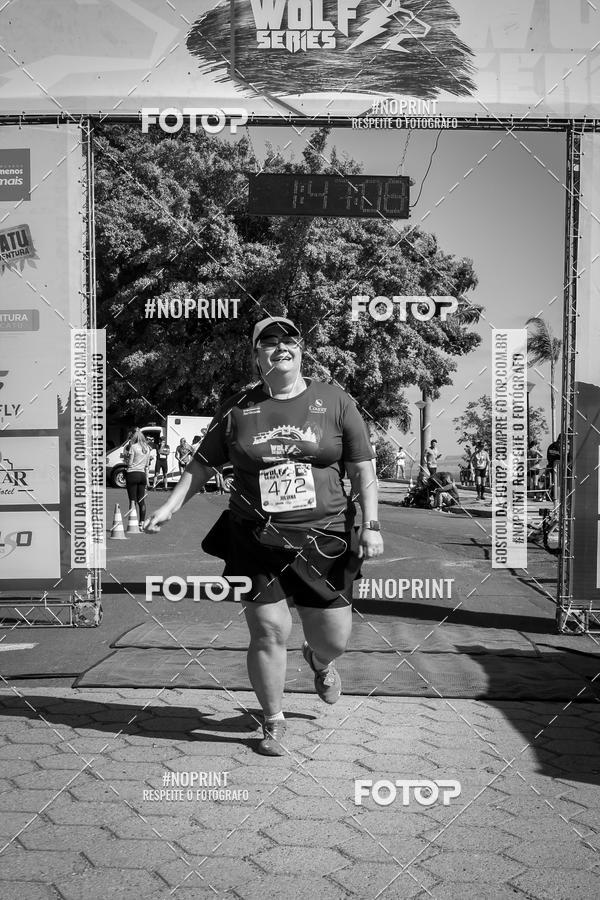 Buy your photos of the eventWolf Series - Botucatu on Fotop