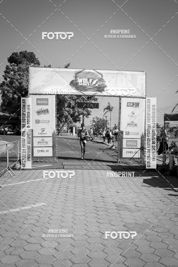 Buy your photos of the eventWolf Series - Botucatu on Fotop