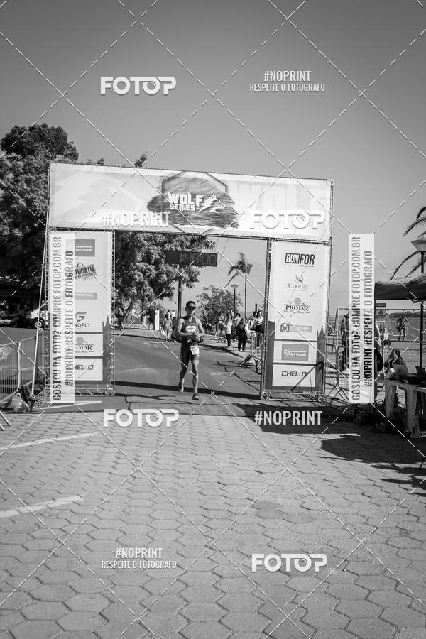 Buy your photos of the eventWolf Series - Botucatu on Fotop