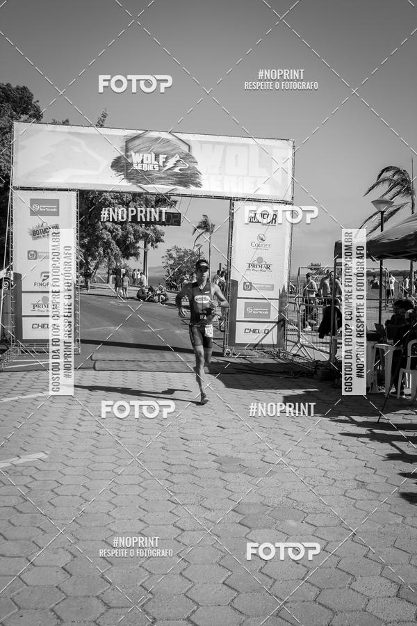 Buy your photos of the eventWolf Series - Botucatu on Fotop
