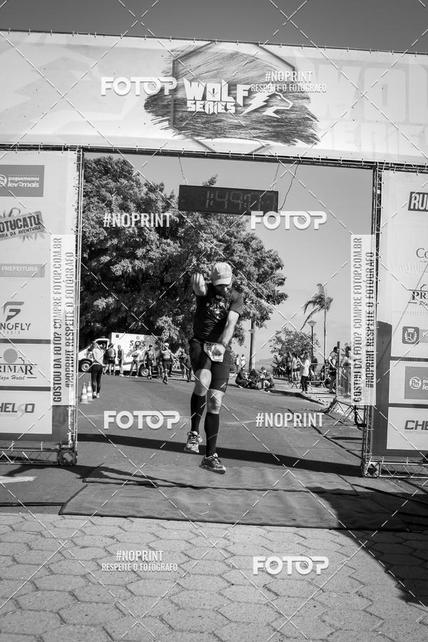 Buy your photos of the eventWolf Series - Botucatu on Fotop