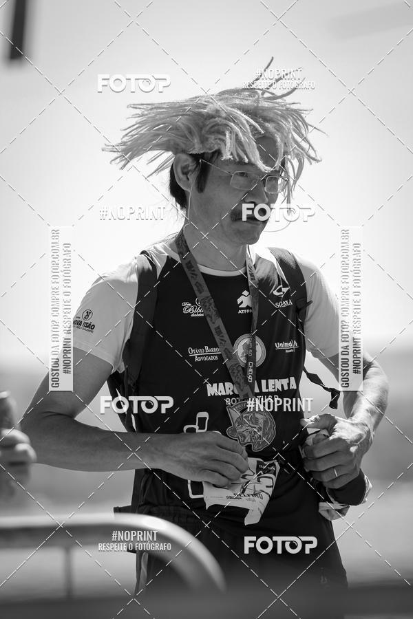 Buy your photos of the eventWolf Series - Botucatu on Fotop