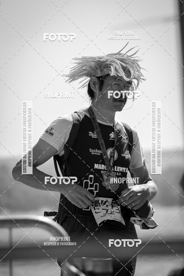 Buy your photos of the eventWolf Series - Botucatu on Fotop