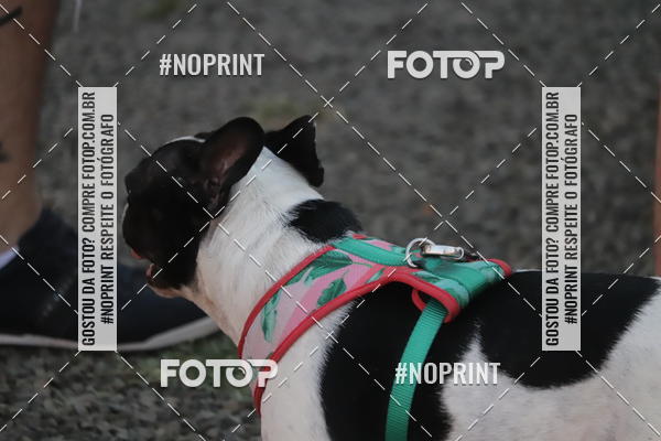 Compra tus fotos del eventoTreino Lets Run Girls En Fotop