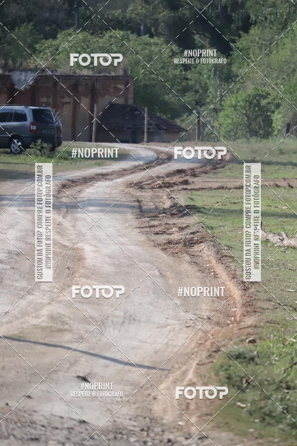 Compra tus fotos del eventoTreino Lets Run Girls En Fotop