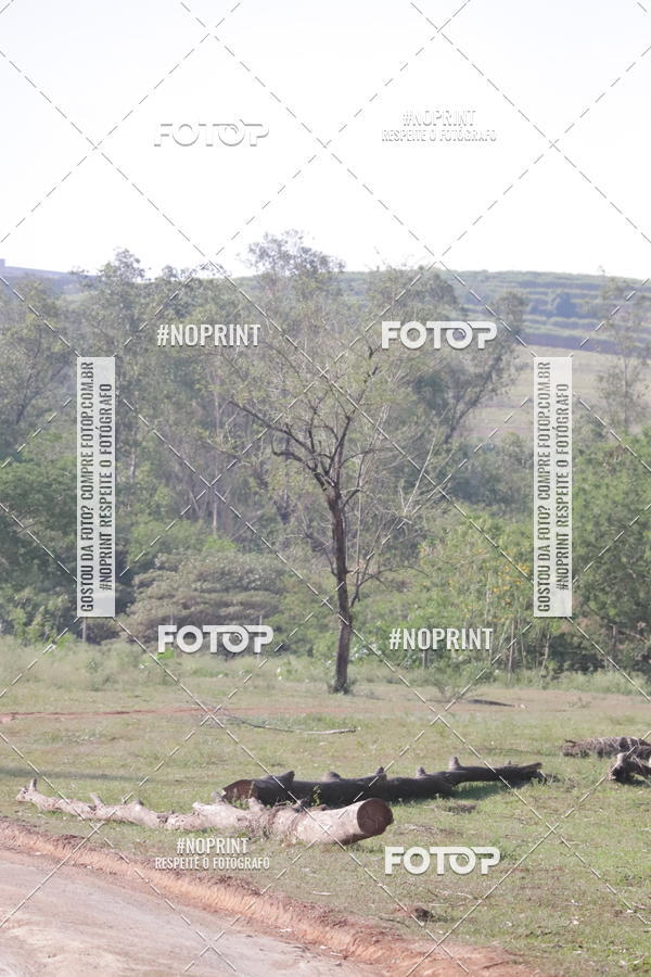 Compra tus fotos del eventoTreino Lets Run Girls En Fotop