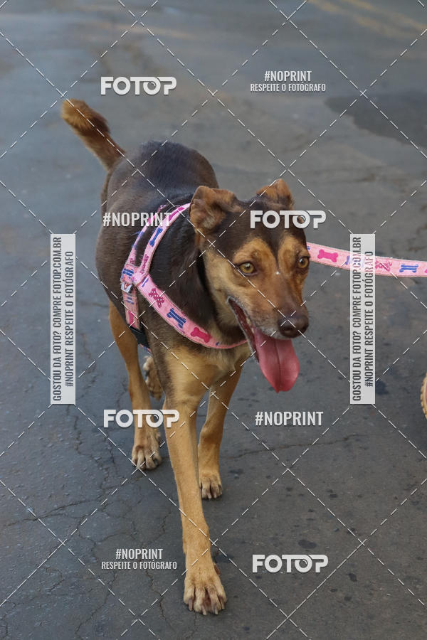 Buy your photos of the eventTreino Lets Run Girls on Fotop