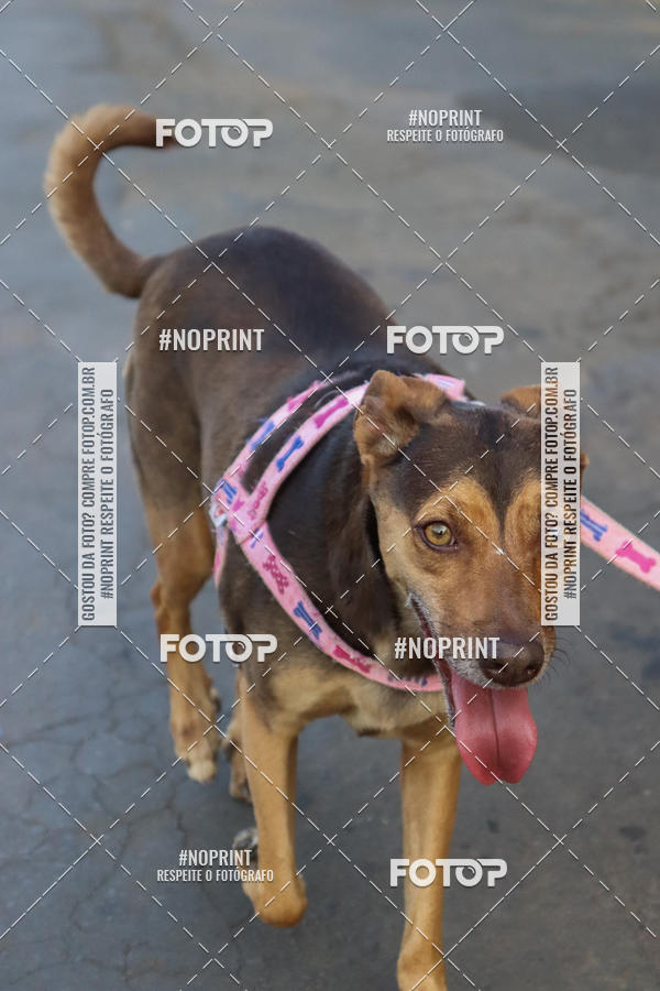 Buy your photos of the eventTreino Lets Run Girls on Fotop