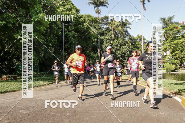 Buy your photos of the eventArraso Half Marathon on Fotop