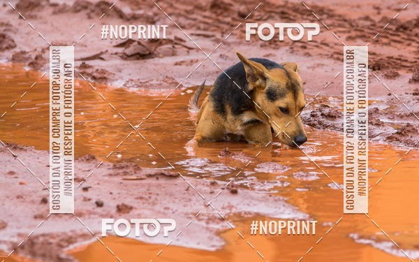 Buy your photos of the event3 Racho Bicicletaria Marilia on Fotop