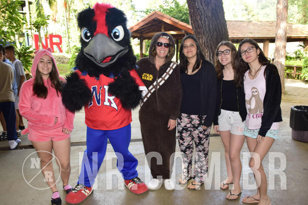 Buy your photos of the eventNR Sun 21 a 23/11/18 on Fotop