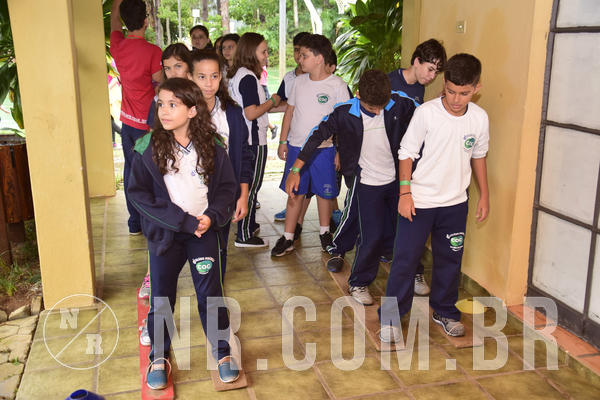 Buy your photos of the eventNR1 - Ol� 6� Ano de 23 a 25/11/18 on Fotop