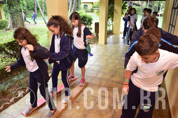 Buy your photos of the eventNR1 - Ol� 6� Ano de 23 a 25/11/18 on Fotop