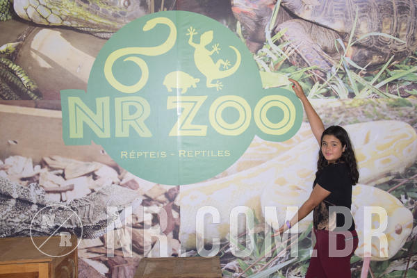 Buy your photos of the eventNR1 - Ol� 6� Ano de 23 a 25/11/18 on Fotop