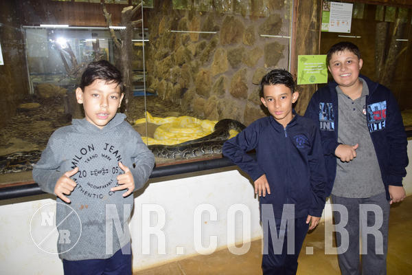 Buy your photos of the eventNR1 - Ol� 6� Ano de 23 a 25/11/18 on Fotop