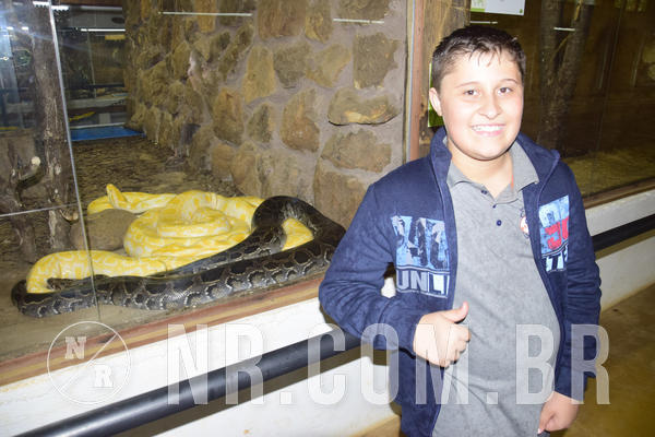 Buy your photos of the eventNR1 - Ol� 6� Ano de 23 a 25/11/18 on Fotop