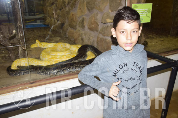 Buy your photos of the eventNR1 - Ol� 6� Ano de 23 a 25/11/18 on Fotop