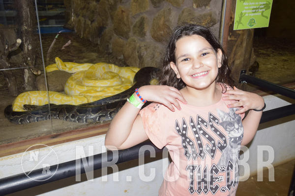 Buy your photos of the eventNR1 - Ol� 6� Ano de 23 a 25/11/18 on Fotop