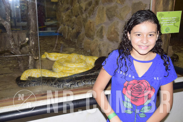 Buy your photos of the eventNR1 - Ol� 6� Ano de 23 a 25/11/18 on Fotop