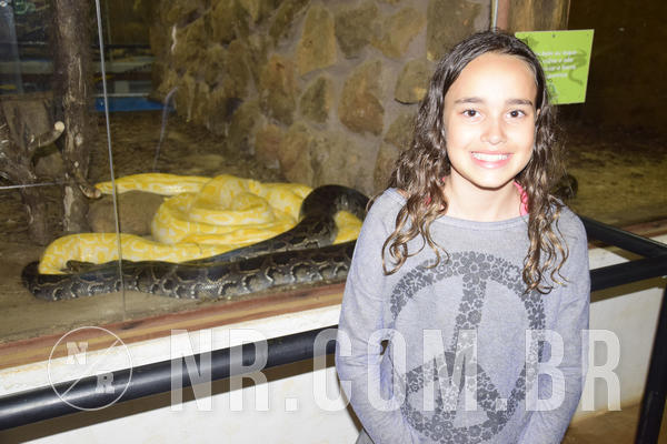 Buy your photos of the eventNR1 - Ol� 6� Ano de 23 a 25/11/18 on Fotop