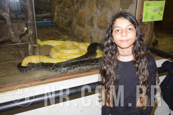 Buy your photos of the eventNR1 - Ol� 6� Ano de 23 a 25/11/18 on Fotop