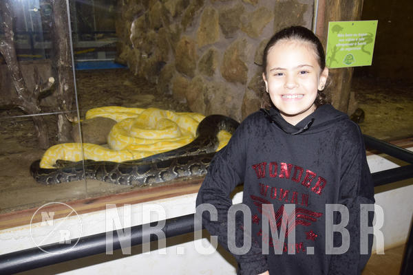 Buy your photos of the eventNR1 - Ol� 6� Ano de 23 a 25/11/18 on Fotop