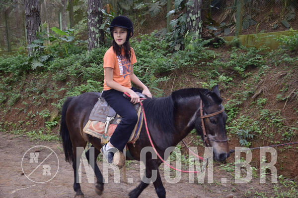 Buy your photos of the eventNR1 - Ol� 6� Ano de 23 a 25/11/18 on Fotop