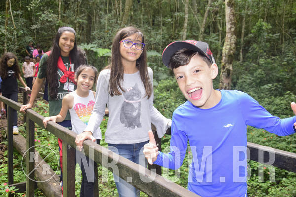 Buy your photos of the eventNR1 - Ol� 6� Ano de 23 a 25/11/18 on Fotop