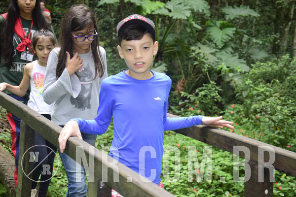 Buy your photos of the eventNR1 - Ol� 6� Ano de 23 a 25/11/18 on Fotop