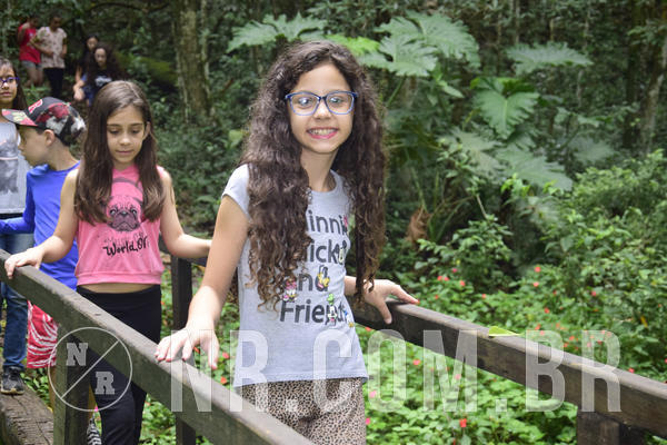 Buy your photos of the eventNR1 - Ol� 6� Ano de 23 a 25/11/18 on Fotop