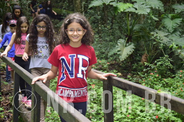 Buy your photos of the eventNR1 - Ol� 6� Ano de 23 a 25/11/18 on Fotop