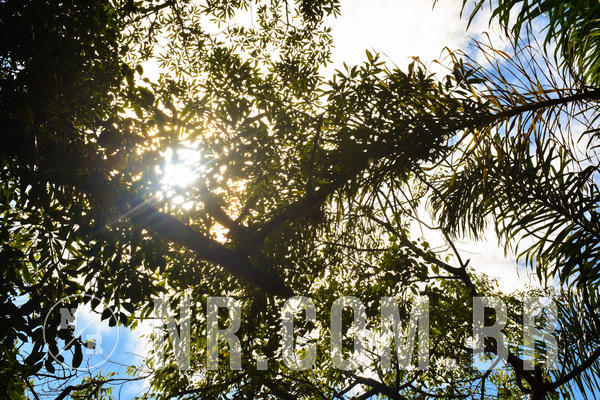 Buy your photos of the eventNR Fun 25 a 28/11/18 on Fotop