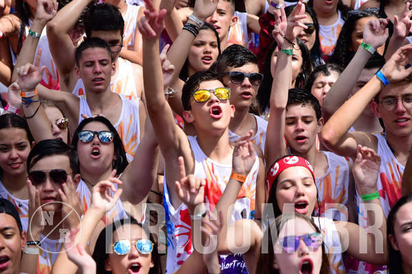 Buy your photos of the eventNR Fun 25 a 28/11/18 on Fotop