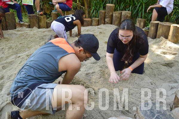 Buy your photos of the eventNR SUN - 25 a 28/11/2018 on Fotop