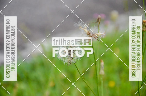 Buy your photos of the eventPedal do Barquinho on Fotop