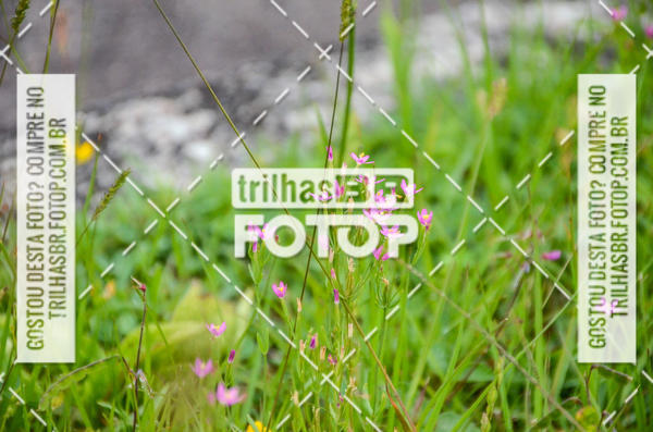 Buy your photos of the eventPedal do Barquinho on Fotop
