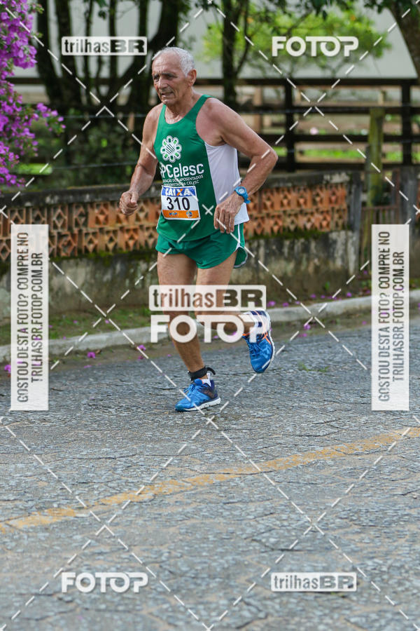 Buy your photos of the event10 corrida de Angelina on Fotop
