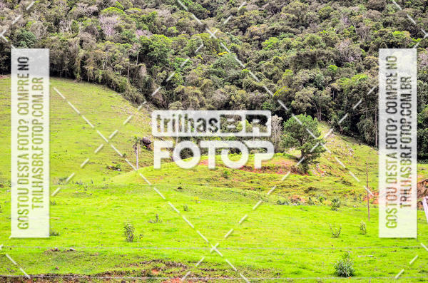 Buy your photos of the event10 corrida de Angelina on Fotop