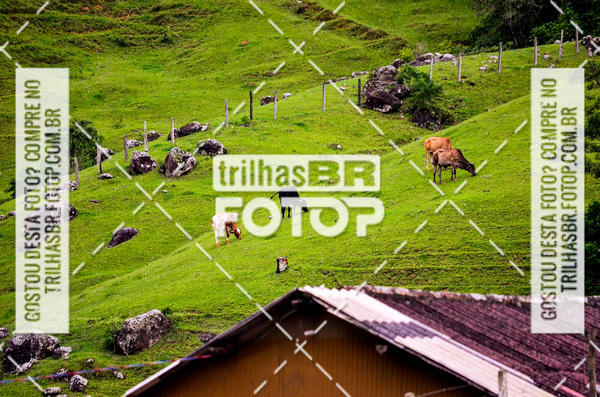 Buy your photos of the event10 corrida de Angelina on Fotop