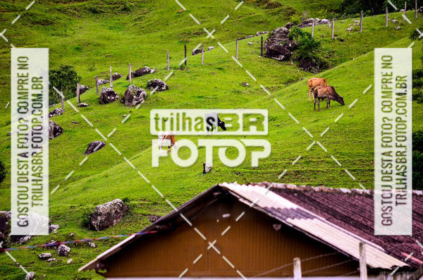 Buy your photos of the event10 corrida de Angelina on Fotop