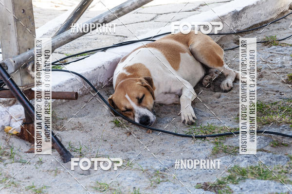 Buy your photos of the eventCircuito Day Run Lagos 2019 - Saquarema on Fotop