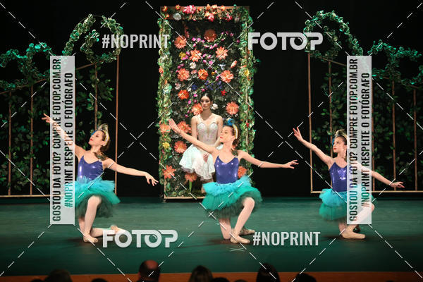 Buy your photos of the eventILLUSIONE - DANCE STUDIO ALPHAVILLE on Fotop