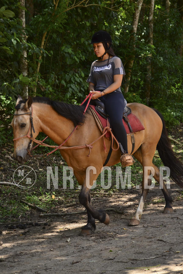 Buy your photos of the eventNR Sun - 02 A 05/12/18 on Fotop