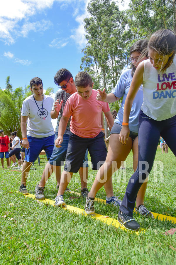 Buy your photos of the eventNR Sun - 02 A 05/12/18 on Fotop