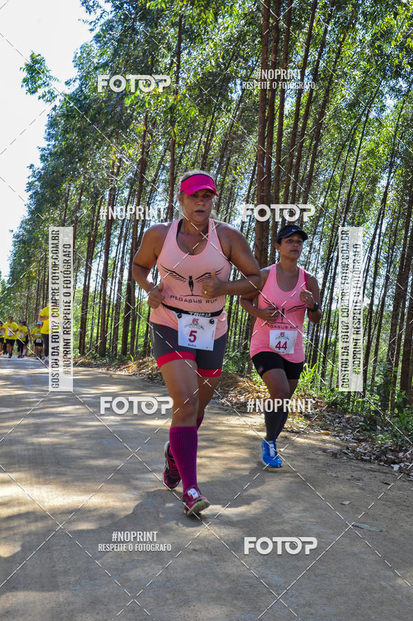 Buy your photos of the eventI TRAIL RUN 8K MAR DO NORTE on Fotop